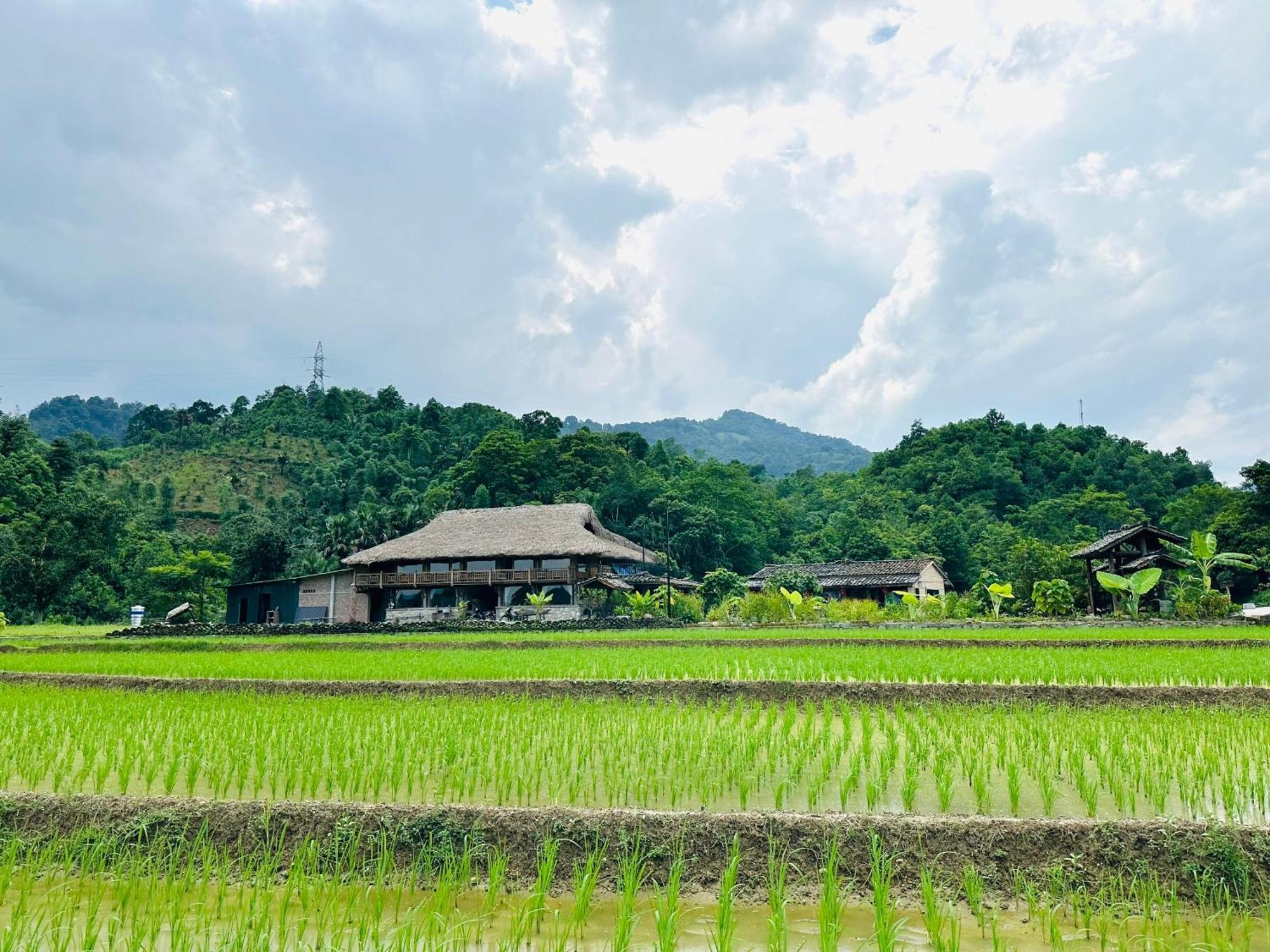 Ban Bang Ecolodge Tours & Motorbike Rental Hà Giang Eksteriør billede